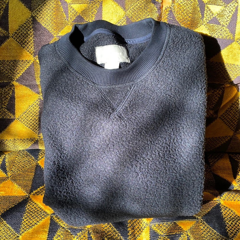 Everlane ReNew thick pile Sweatshirt (Mens Small)